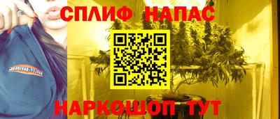 стафф Нальчик