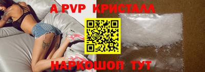 стафф Нальчик